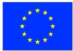 Vlajka EU 80x120 cm